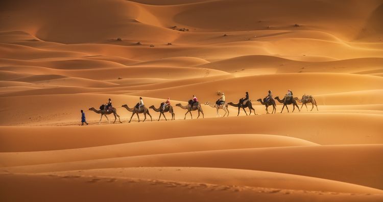 Balade en dromadaire à Marrakech